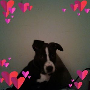 Meet your Posher, Carol